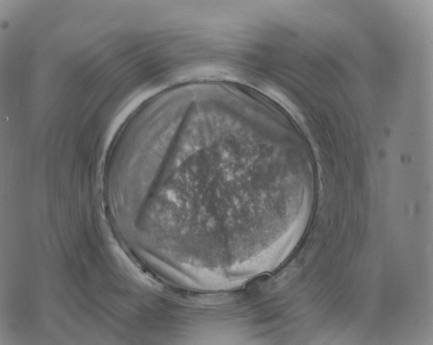 X0000074261392200609151750