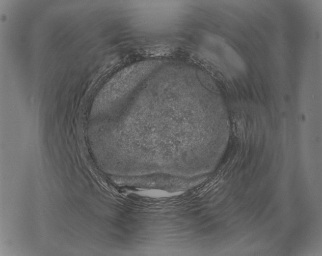 X0000074261393200609151749