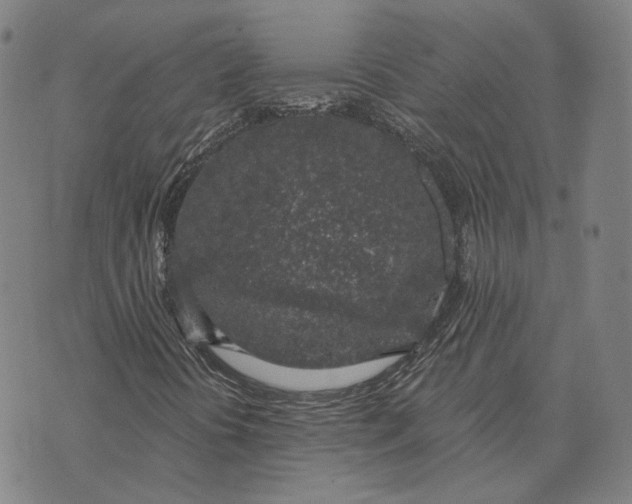 X0000074261394200609151749