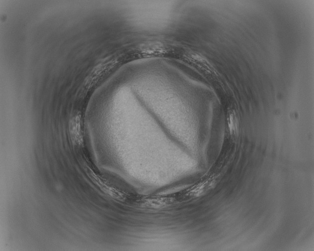 X0000074261396200609151749