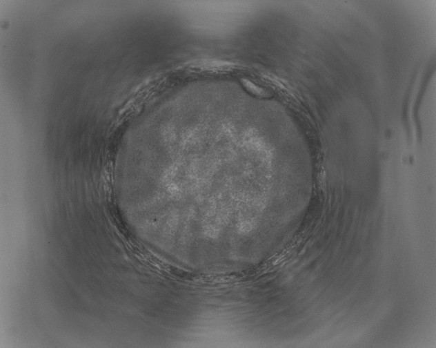 X0000074261397200609151749