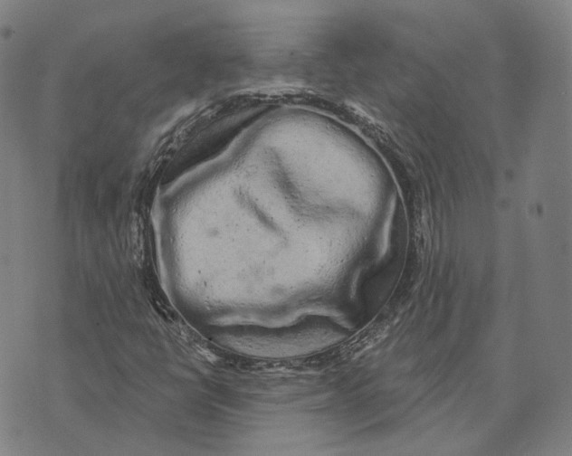 X0000074261398200609151750