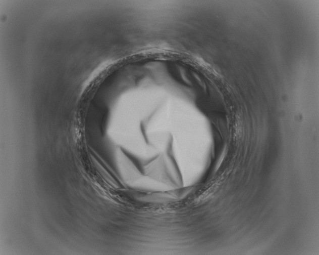 X0000074261400200609151750