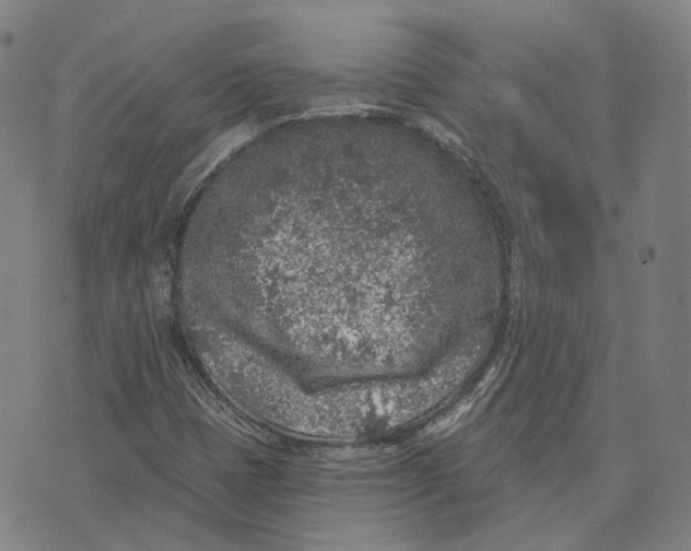 X0000074261401200609151750