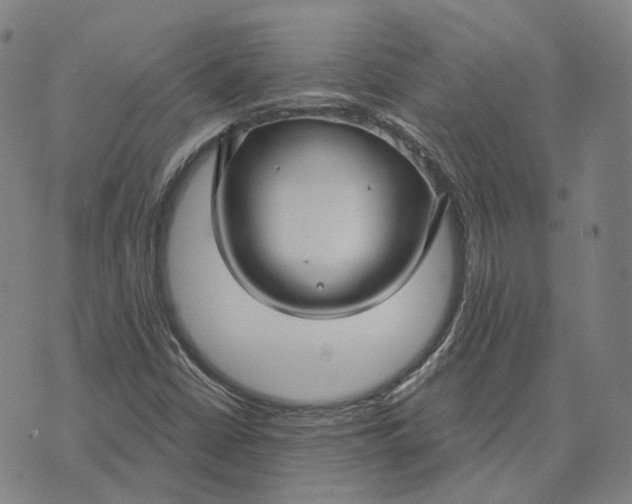 X0000074261402200609151750