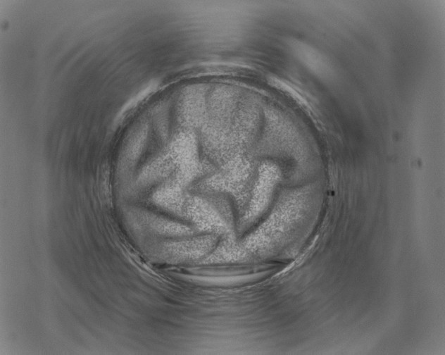 X0000074261403200609151750