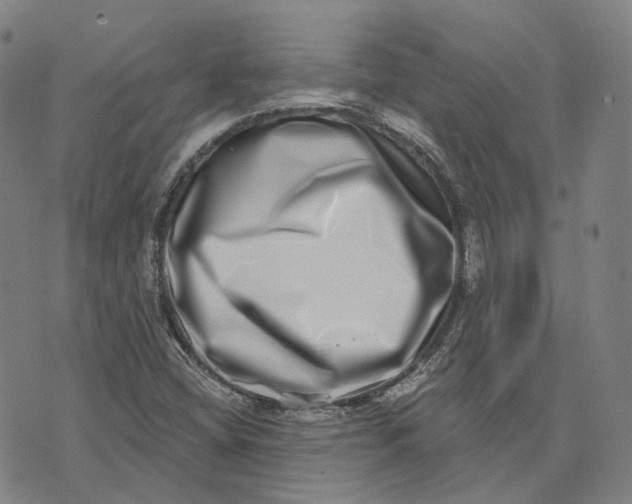 X0000074261404200609151750