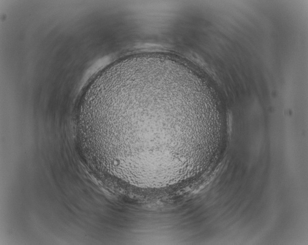 X0000074261405200609151750