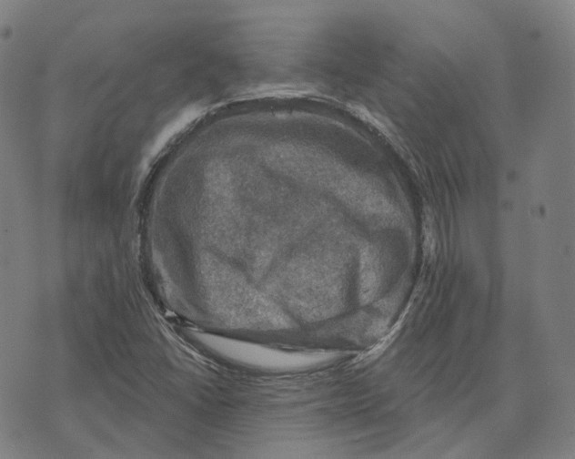 X0000074261406200609151750