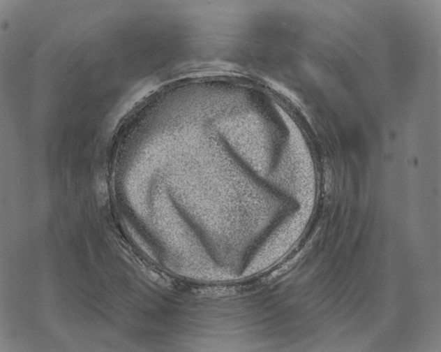 X0000074261407200609151750