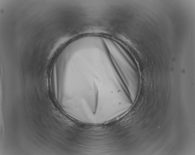 X0000074261408200609151750