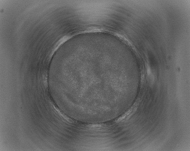 X0000074261409200609151750