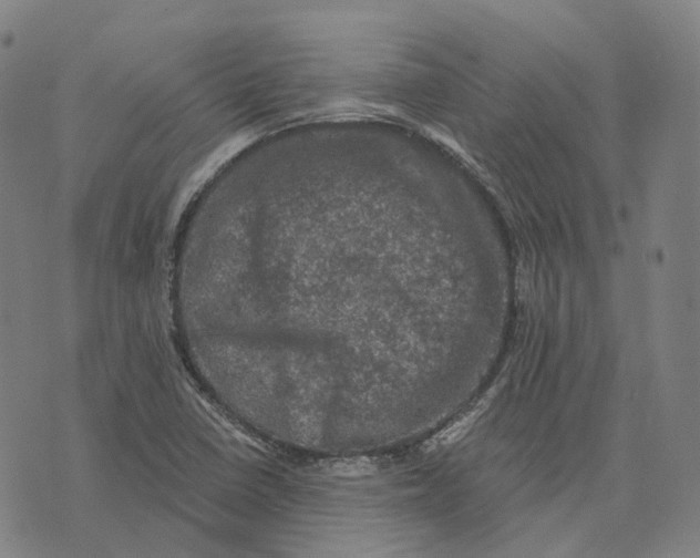 X0000074261410200609151750