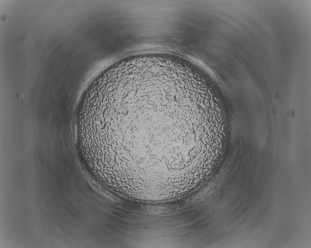 X0000074261413200609151750