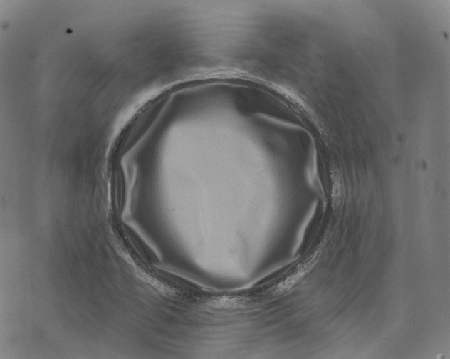 X0000074261414200609151750