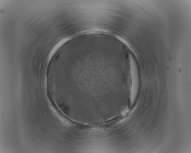 X0000074261418200609151750