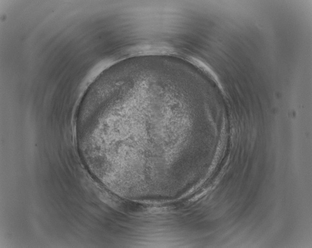 X0000074261419200609151750