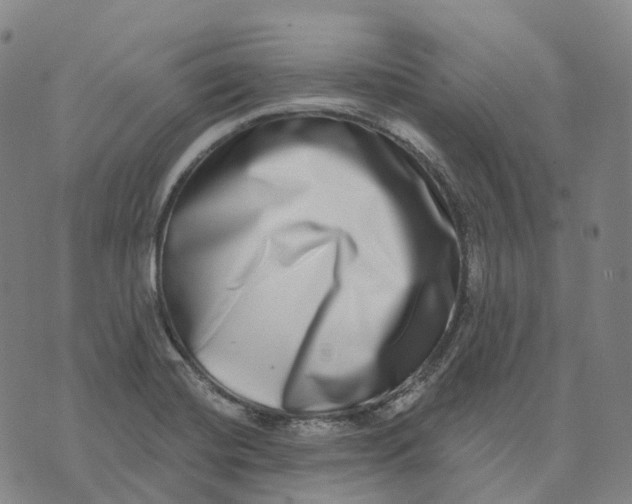 X0000074261420200609151750