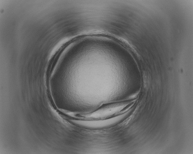 X0000074261422200609151750