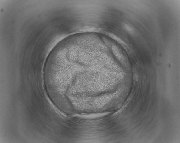 X0000074261423200609151750