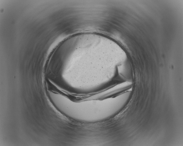 X0000074261424200609151750