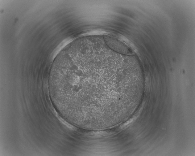 X0000074261425200609151750