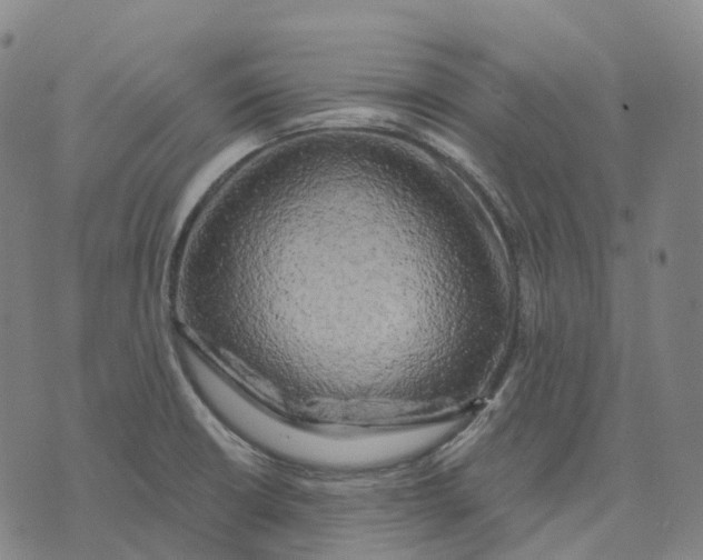 X0000074261426200609151750