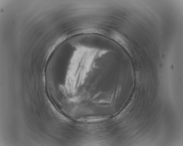 X0000074261428200609151750