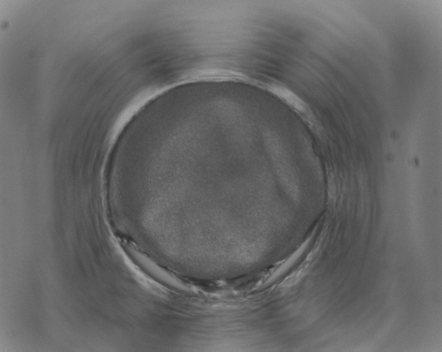 X0000074261430200609151750