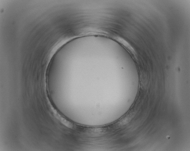 X0000074261431200609151750