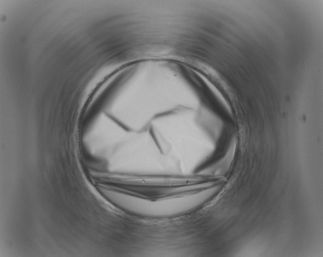 X0000074261432200609151750