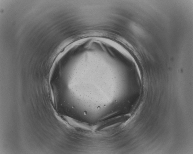 X0000074261433200609151750