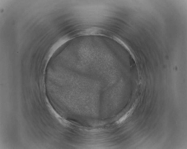 X0000074261434200609151750