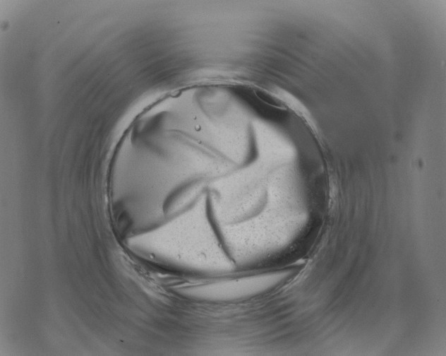 X0000074261435200609151750