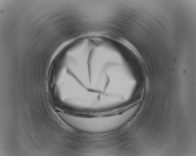 X0000074261436200609151750