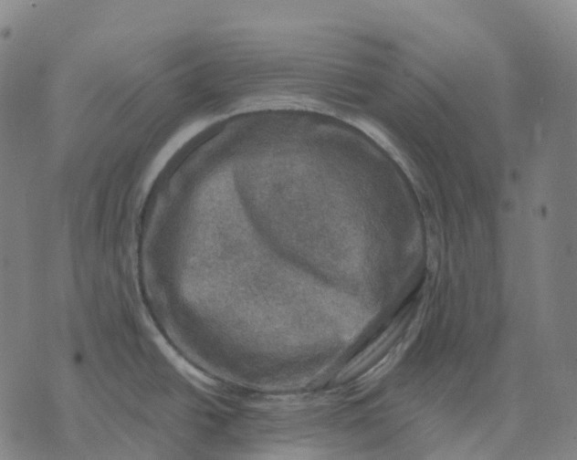 X0000074261438200609151750