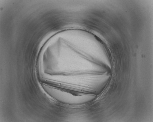 X0000074261440200609151750