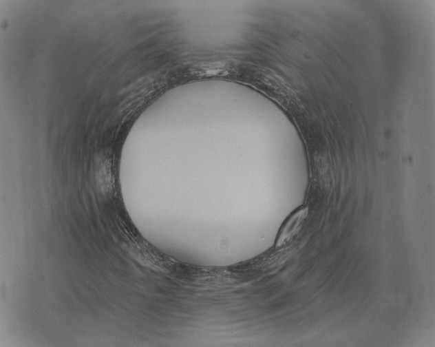 X0000074261442200609151749