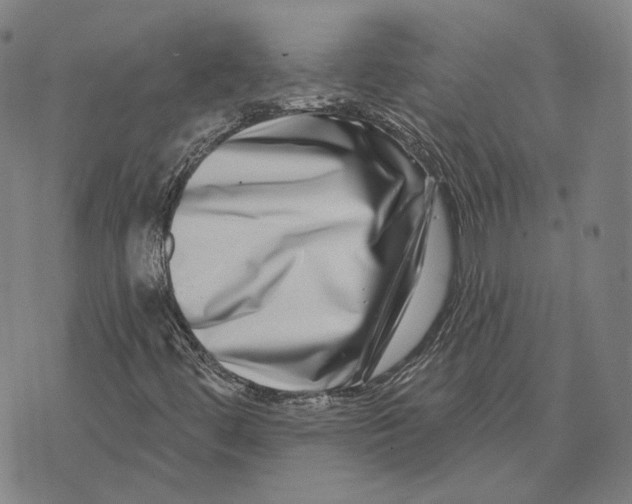 X0000074261444200609151749