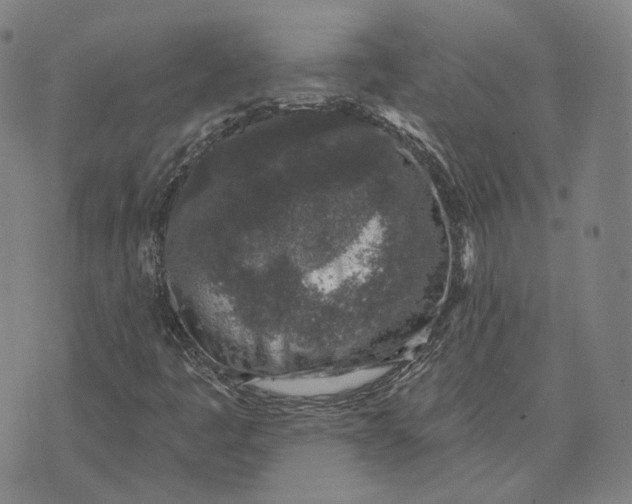 X0000074261445200609151749