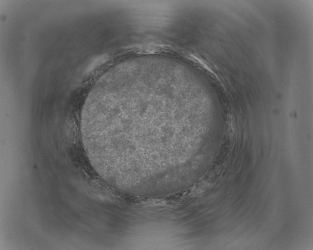 X0000074261446200609151749