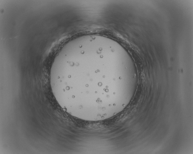 X0000074261447200609151749