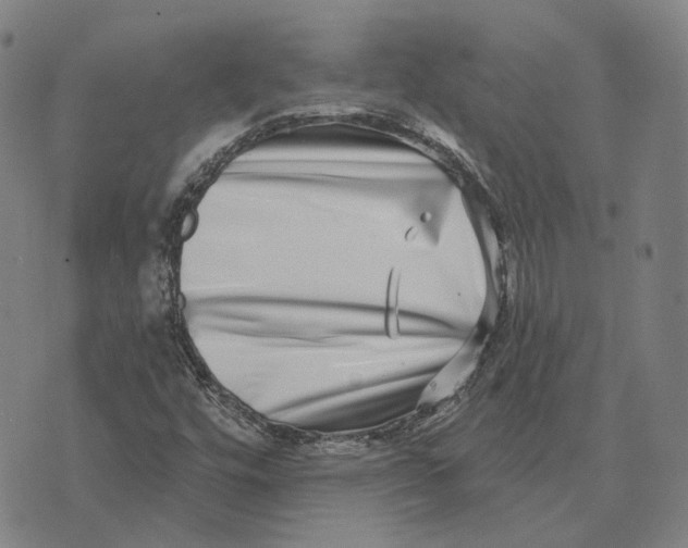 X0000074261448200609151749