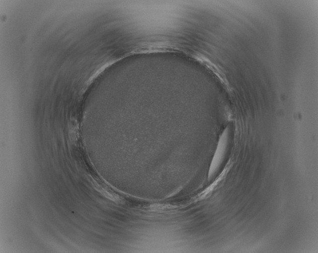 X0000074261449200609151749