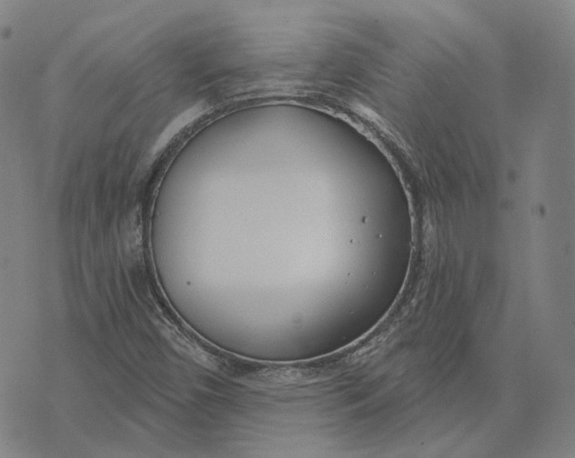 X0000074261450200609151749