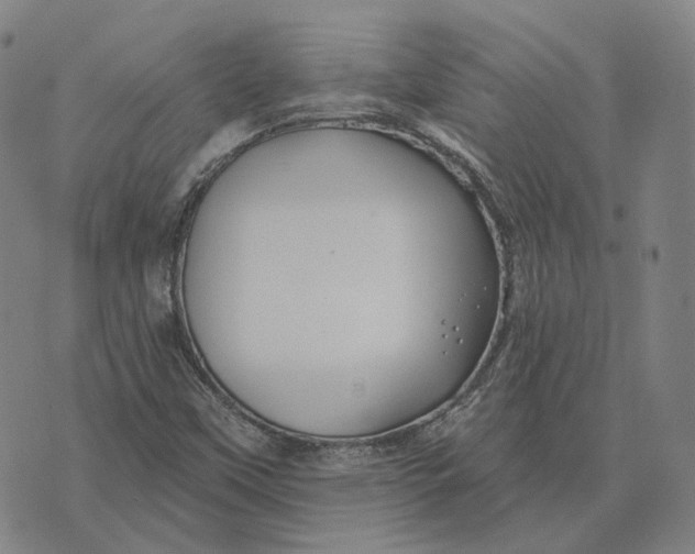 X0000074261451200609151749