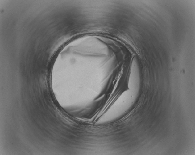 X0000074261452200609151749