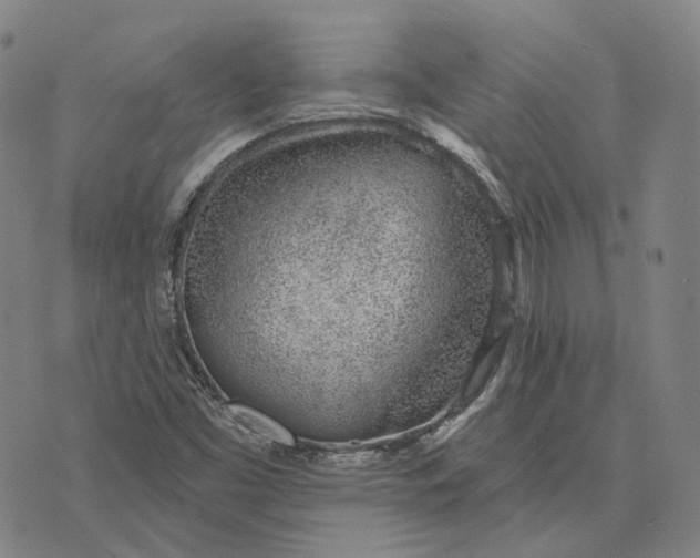 X0000074261453200609151749