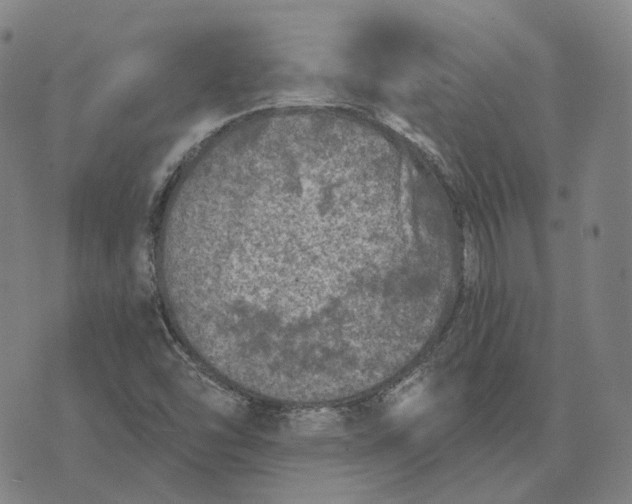 X0000074261454200609151749