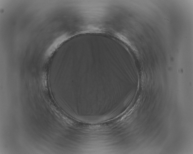 X0000074261455200609151749